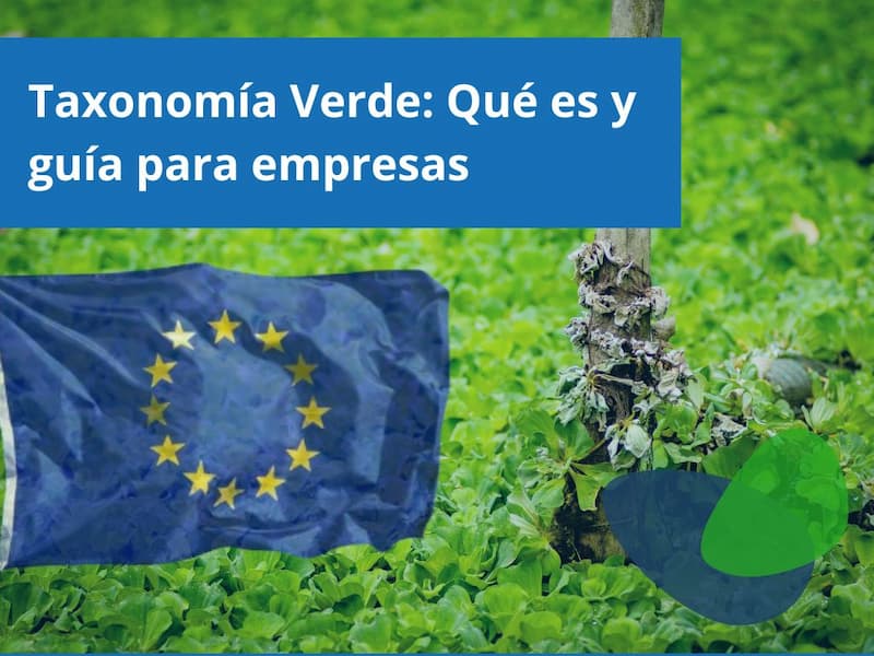 Guía para el cálculo de la huella de carbono en tu empresa 2025