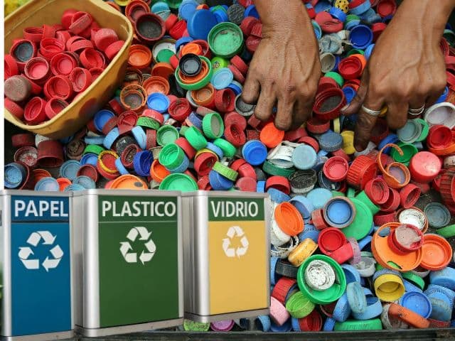 Taxonomía Verde: Qué es y guía para empresas