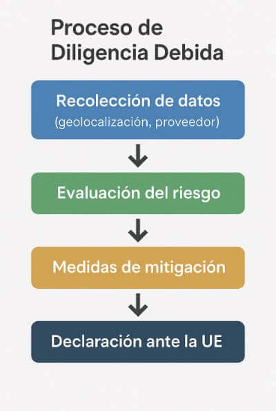 Proceso debido EUDR