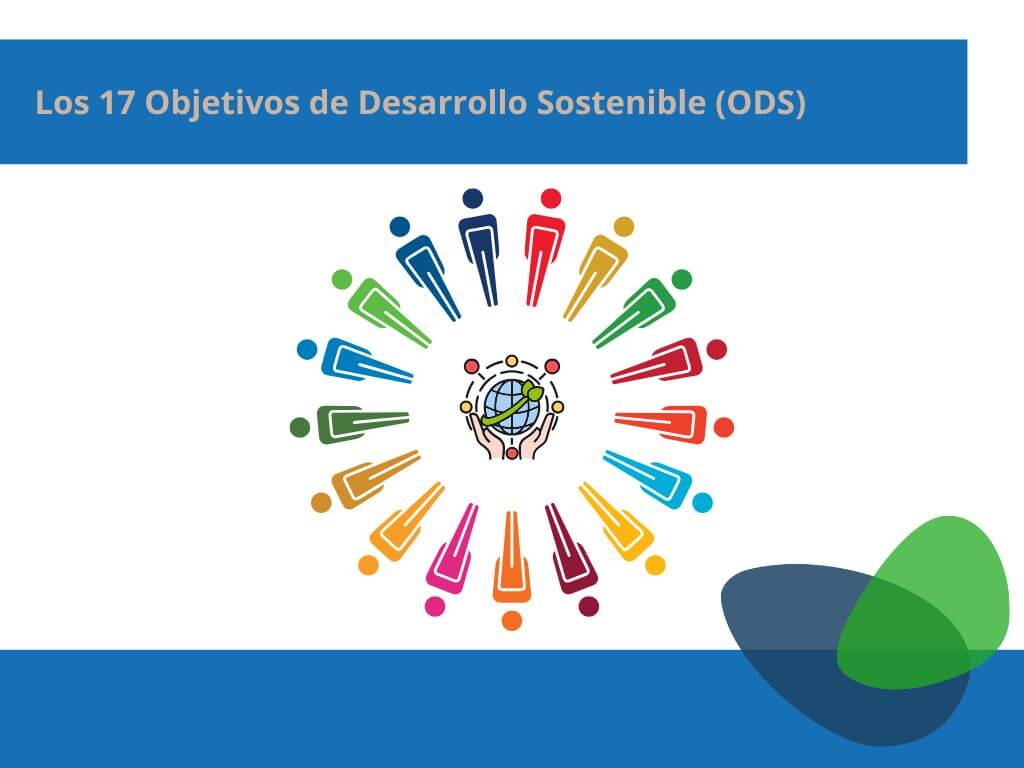 Cuáles son los ODS de la Agenda 2030