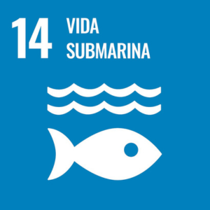 ODS 14 Vida Submarina