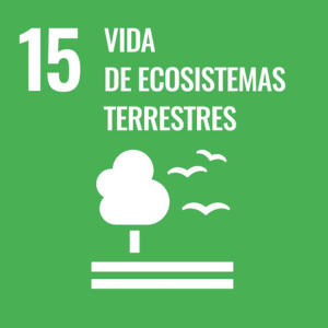 ODS 15 vida de ecosistemas terrestres