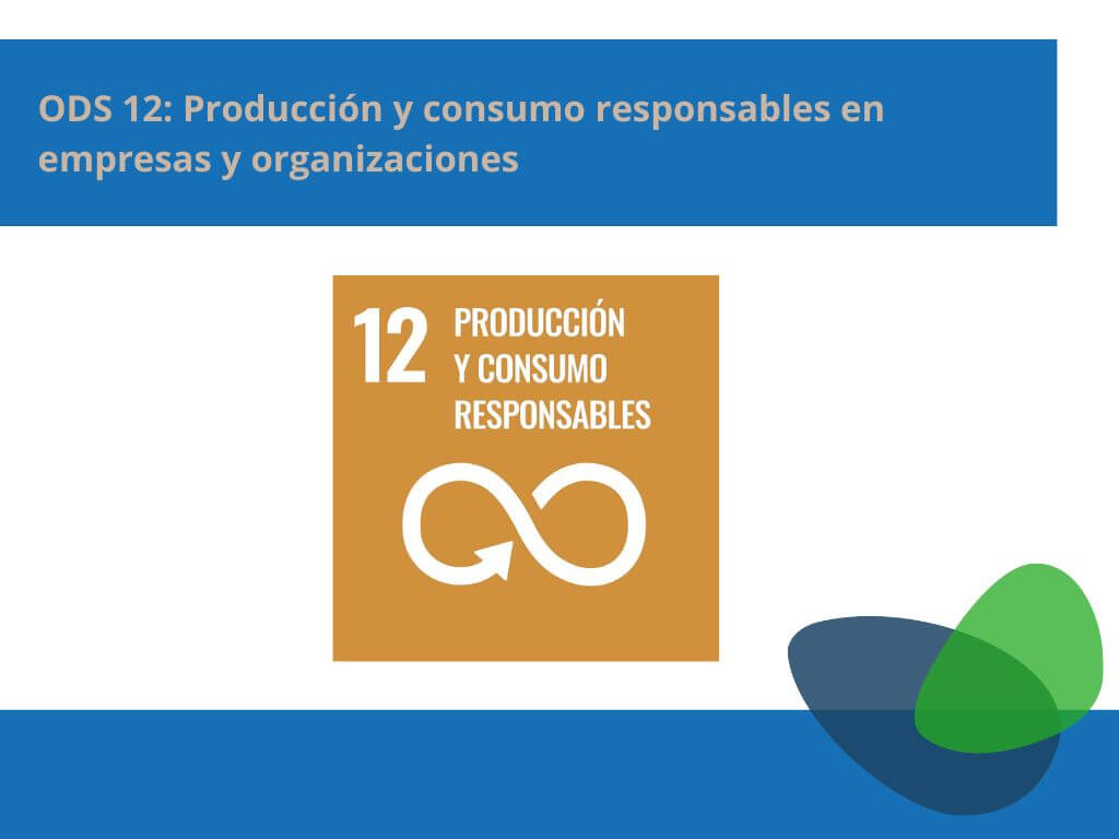 ODS 12: Producción y consumo responsables en empresas y organizaciones
