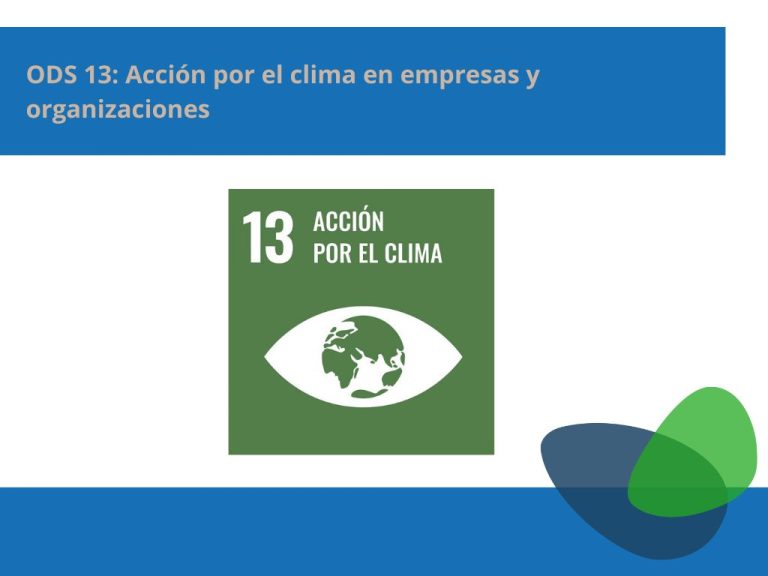 ODS 13: Acción por el clima en empresas y organizaciones