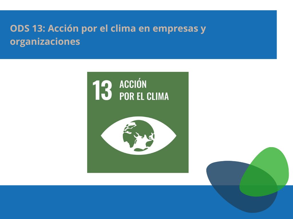 ODS 13: Acción por el clima en empresas y organizaciones