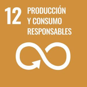 ods 12 produccion y consumo responsable