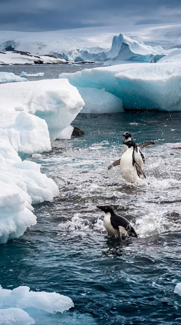 Certificacion huella de carbono